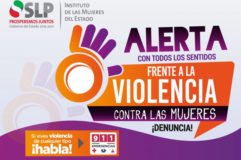 Lee más sobre el artículo Investigación para el Instituto de las Mujeres del Estado