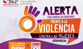 Investigación para el Instituto de las Mujeres del Estado