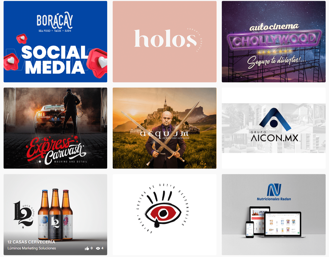 ver portafolio de luminos marketing