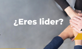 Aprender a ser líder o morir en el intento