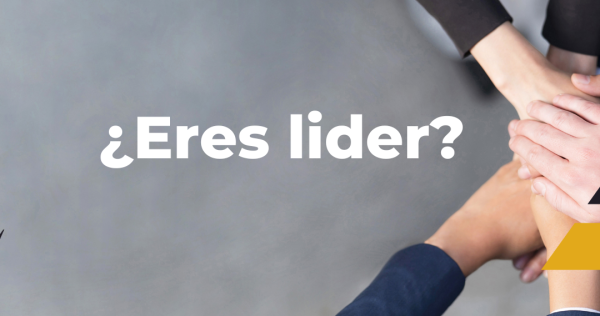 luminos marketing agencia lider del bajio conviertete en lider o muere en el intento